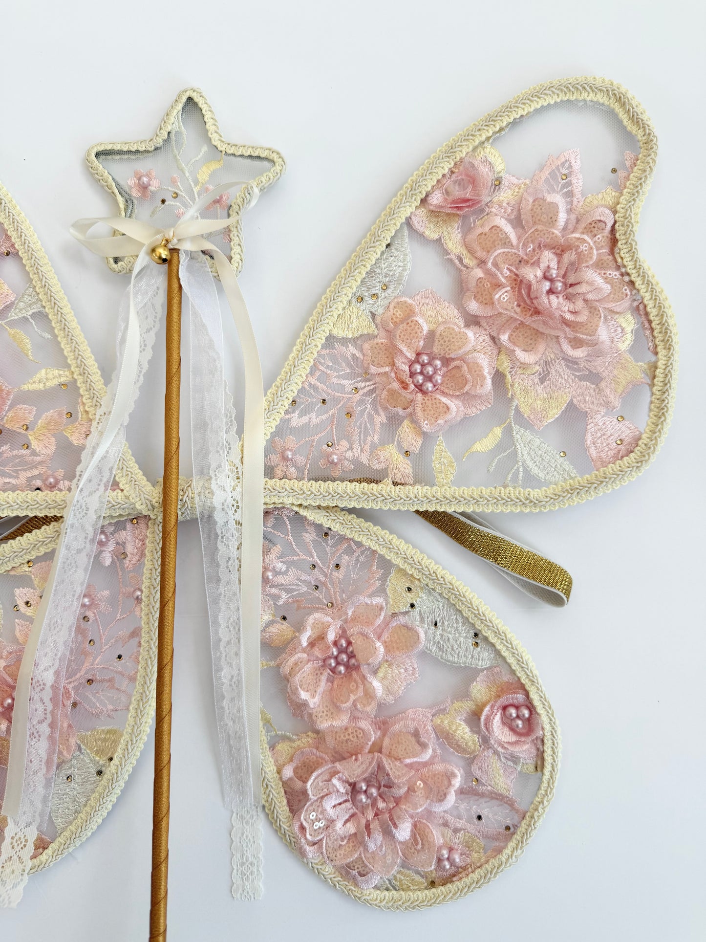 LED Embroidery Lace Fairy Wing and Wand Set