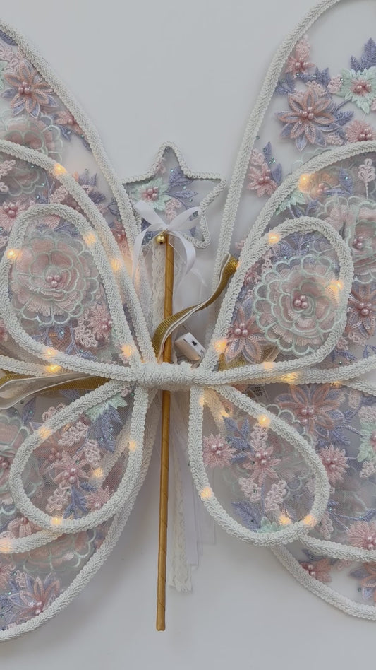 LED Embroidery Lace Fairy Wing and Wand Set